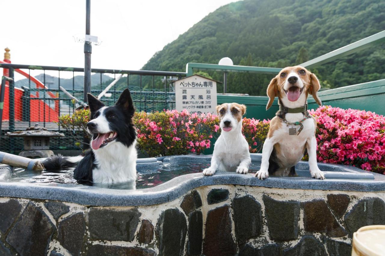 Kinugawa Kokusai Hotel Nikkō Luaran gambar