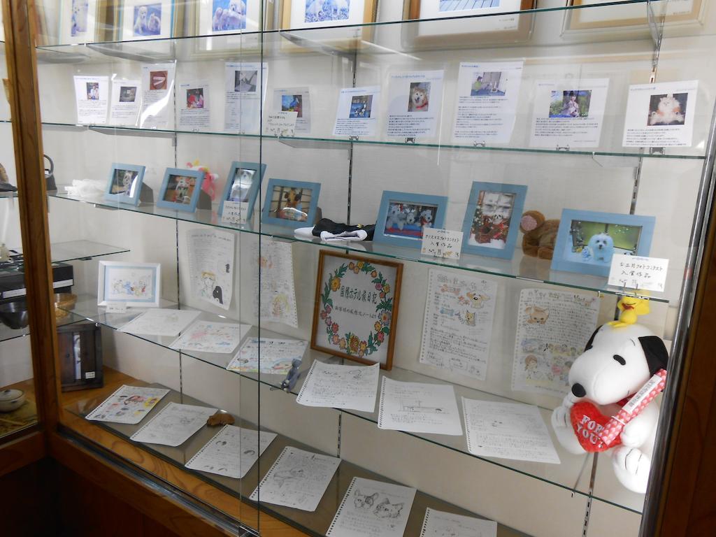 Kinugawa Kokusai Hotel Nikkō Luaran gambar