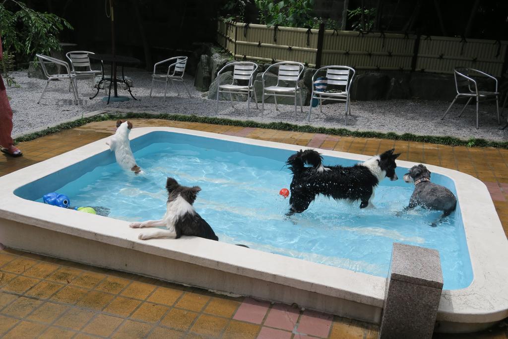 Kinugawa Kokusai Hotel Nikkō Luaran gambar